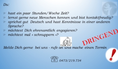 Wir suchen nach Unterstützung in unserem Geschäft auf der Klötzerbahn! image news emja.be