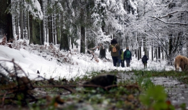 Natagora BNVS: Winterwanderung am 2. Weihnachtstag image news emja.be