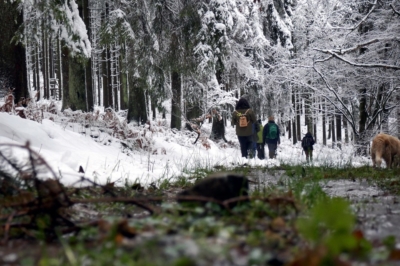 Natagora BNVS: Winterwanderung am 2. Weihnachtstag logo anbieter