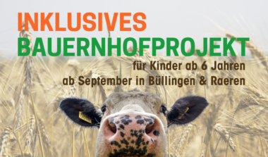 Begleite uns für zwei Stunden bei unserem Bauernhofprojekt! image news emja.be