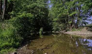 AVES: Naturschützer für den 04. und 05. Juli gesucht! image news emja.be