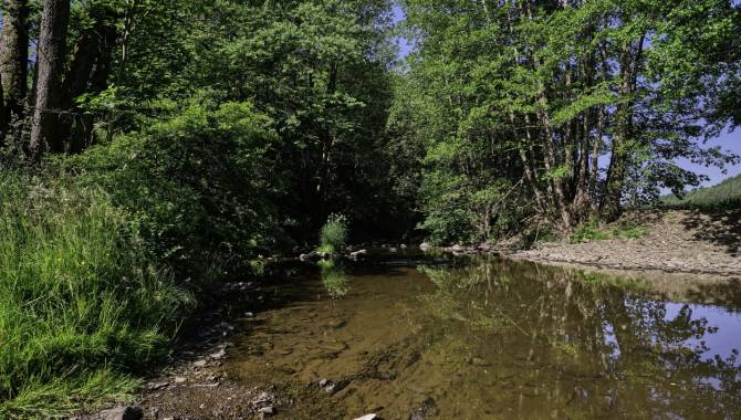 AVES: Naturschützer für den 04. und 05. Juli gesucht! angebote emja 