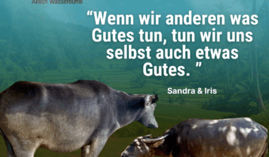 Mein Ehrenamt und ich – Aktion Wasserbüffel image news emja.be