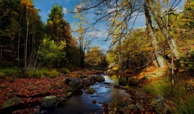 Natagora BNVS: Herbstwanderung image news emja.be