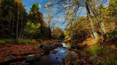 Natagora BNVS: Herbstwanderung logo anbieter