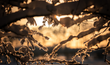 Natagora BNVS: Winterwanderung image news emja.be