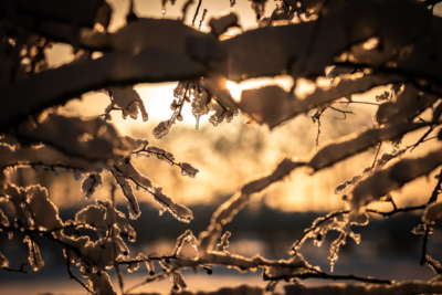 Natagora BNVS: Winterwanderung logo anbieter