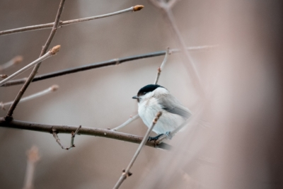 Natagora: Entdeckungstour logo anbieter