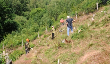 Naturpflege-Einsatz image news emja.be