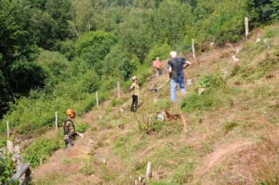 Naturpflege-Einsatz logo anbieter
