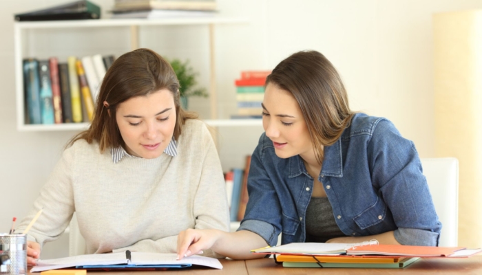 Wohnraum für Alle sucht weibliche Theorie-Führerschein-Begleitung! angebote emja 